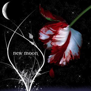 new_moon.jpg