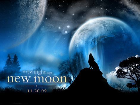 the-twilight-saga-new-moon-twilight-series-4882955-1024-768.jpg